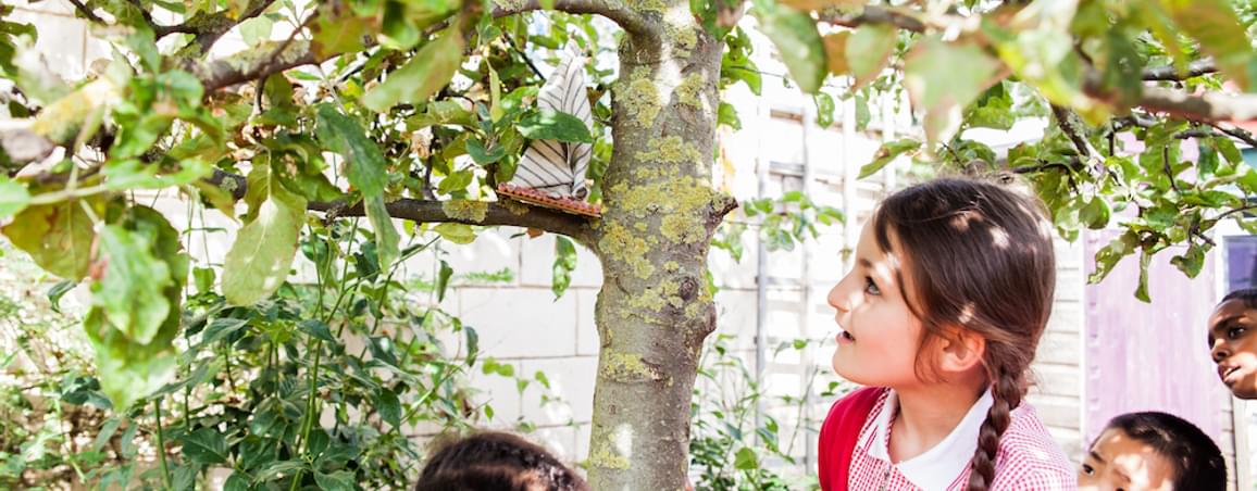 Three school children stand outside underneath a tree. You can see two girls and a boy. The two girls are wearing red summer dresses and a red cardigan, the boy is wearing a white polo shirt. One girl has long brown hair tied in a plait. All the children are looking up at one of the trees branches, where there is a small tipi made from pencils and cloth.