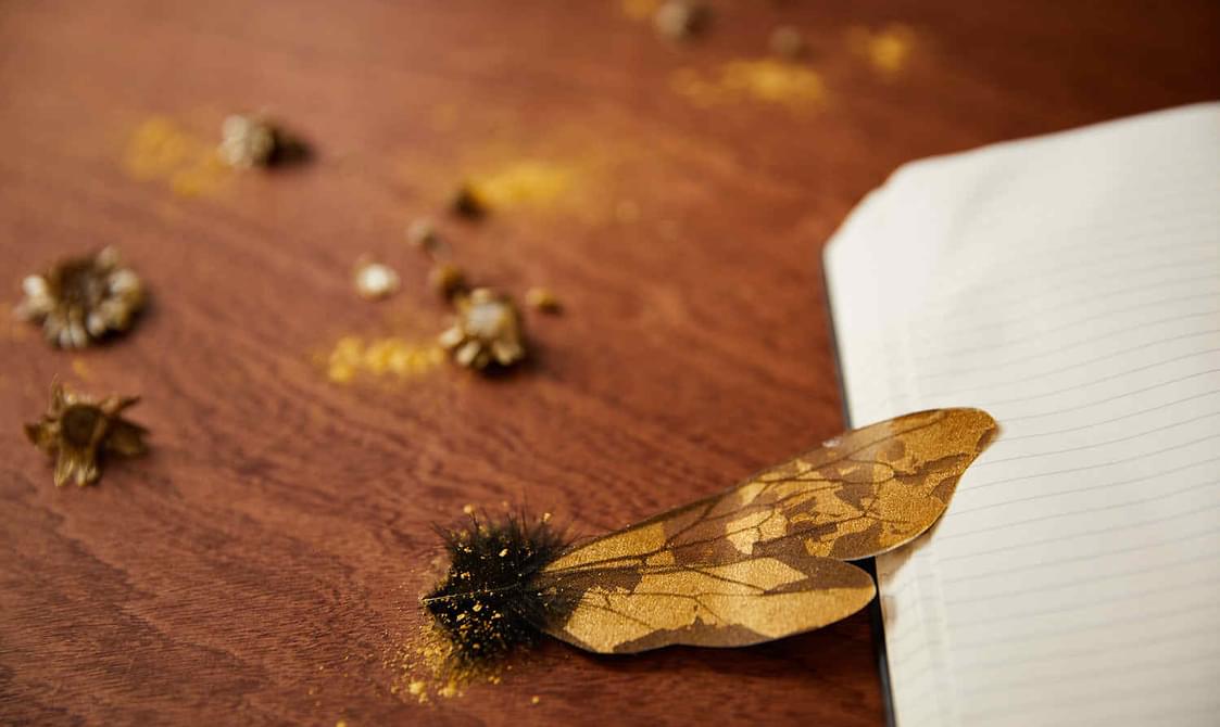 A golden bee wing on a table.